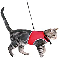 Trixie 41896- Correa Gatos- 24-42 cm- (1.20 m)- colores surtidos